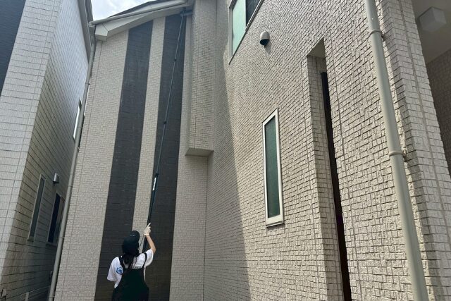 サンプル画像