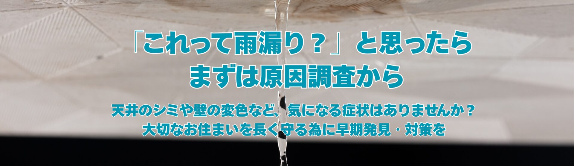 雨漏り調査について