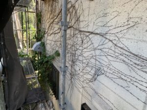 鎌ヶ谷で外壁塗装。